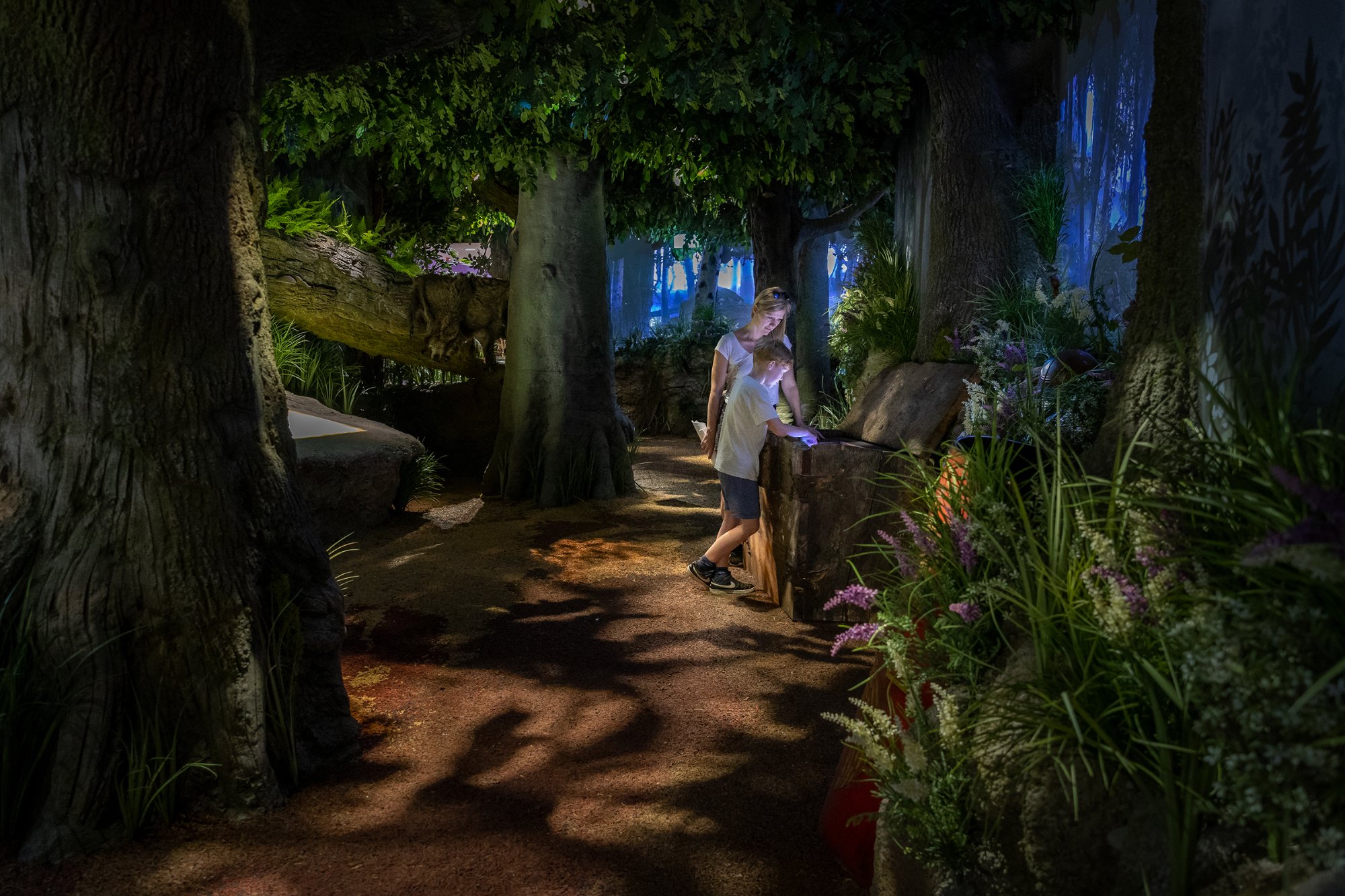 Deutschlandmuseum Berlin immersive Ausstellung